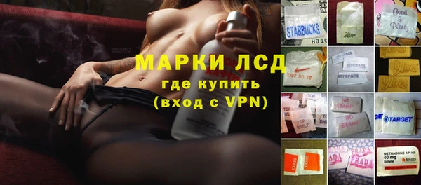 PSILOCYBIN Навашино