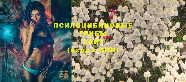 сатива Надым
