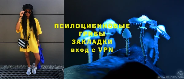 PSILOCYBIN Навашино