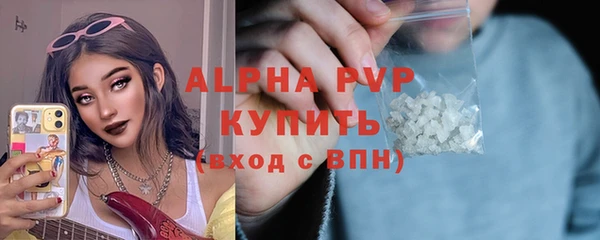 сатива Надым