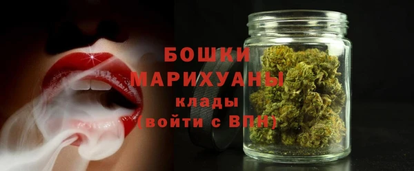 PSILOCYBIN Навашино