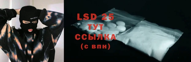 PSILOCYBIN Навашино
