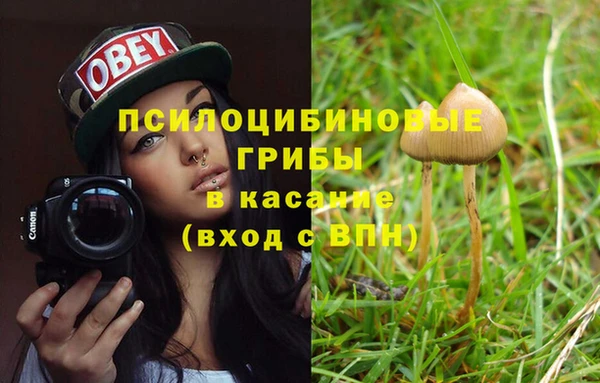 сатива Надым