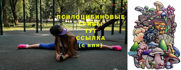 сатива Надым