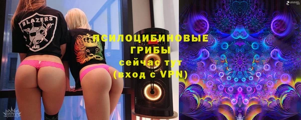 сатива Надым