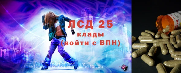 сатива Надым