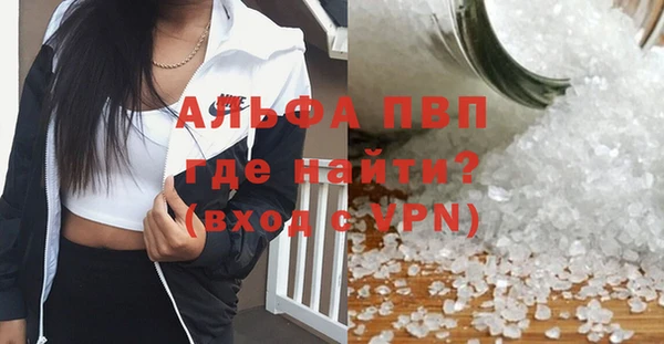 сатива Надым