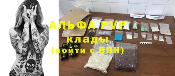 PSILOCYBIN Навашино