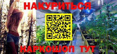 МДПВ Бийск