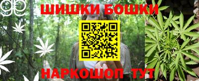 МДПВ Бийск