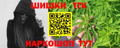 МДПВ Бийск