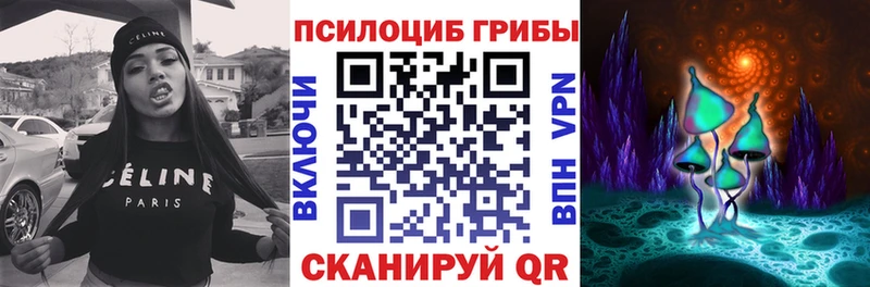 даркнет официальный сайт  цена наркотик  Владикавказ  Псилоцибиновые грибы MAGIC MUSHROOMS 