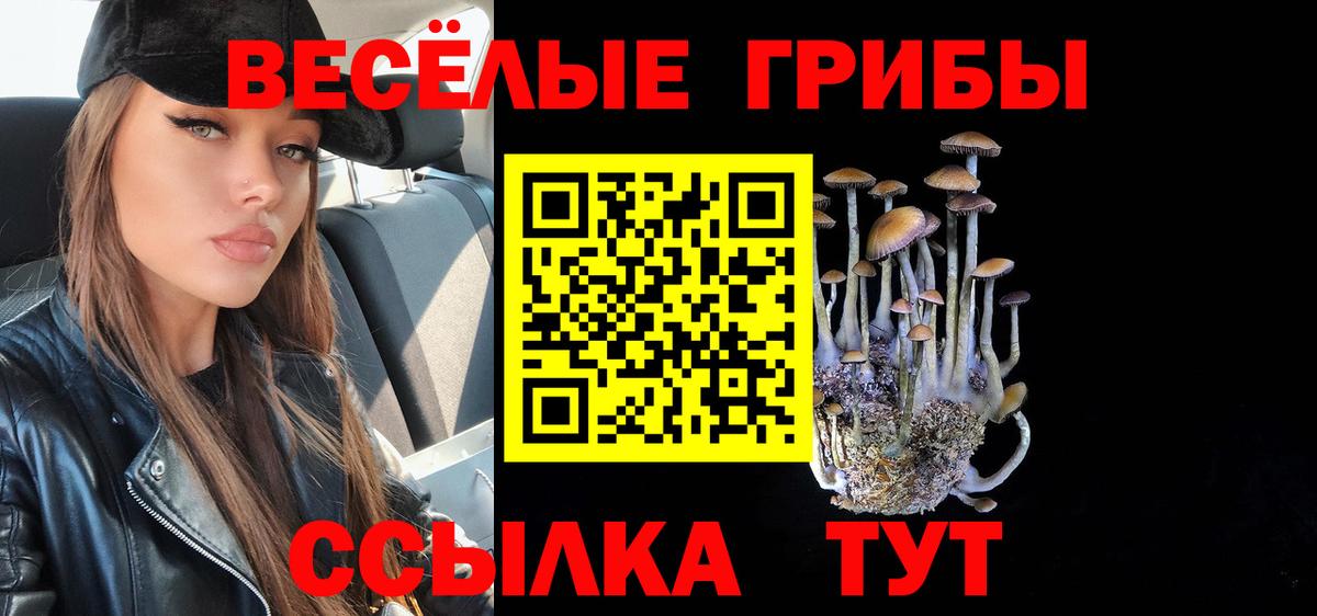 Псилоцибиновые грибы Cubensis  Владикавказ  Галлюциногенные грибы MAGIC MUSHROOMS 